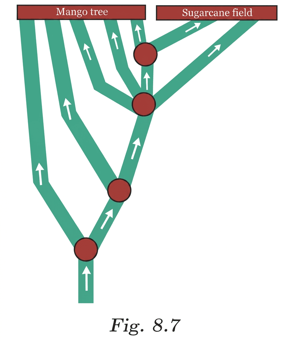 Question diagram 1